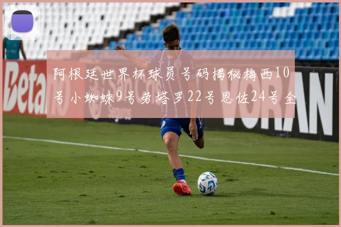 阿根廷世界杯球员号码揭秘梅西10号小蜘蛛9号劳塔罗22号恩佐24号全解析